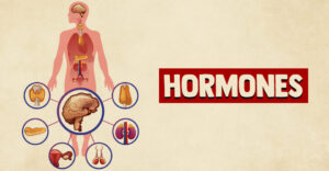 Hormones